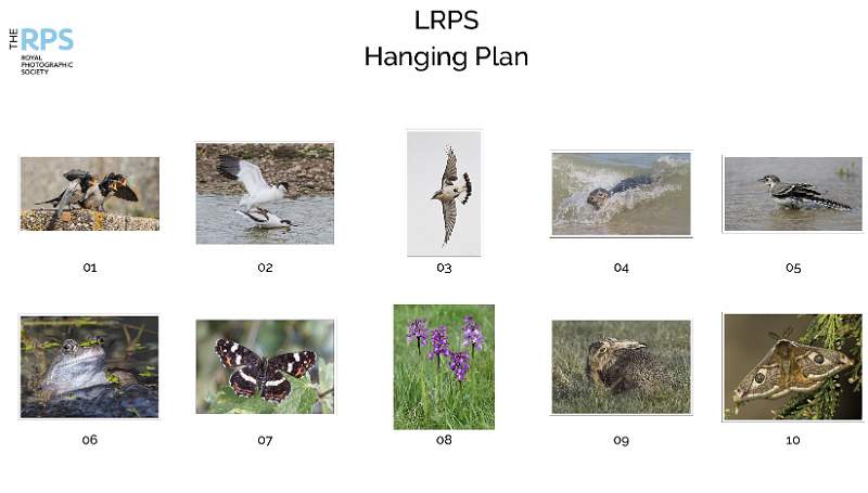 LRPS Hanging Plan.jpg